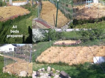 Mother Nature Teaches Flexibility During Times of Upheaval Image